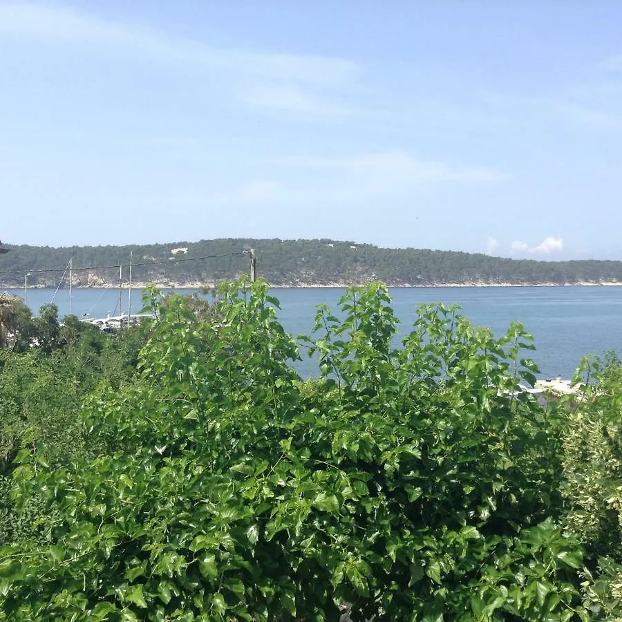 Apartment Biserka Barbat na Rabu 0*,